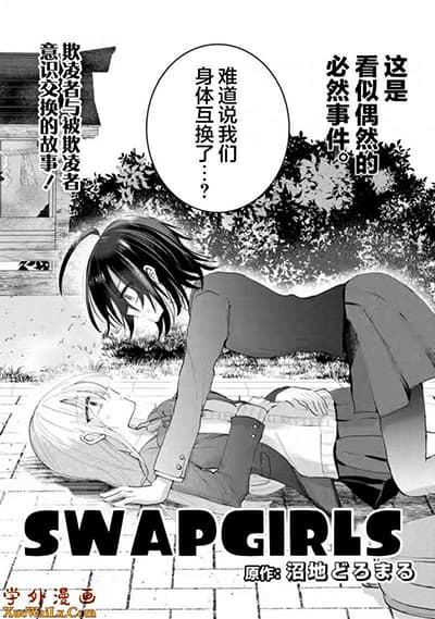 Swap Girls Swap Girls